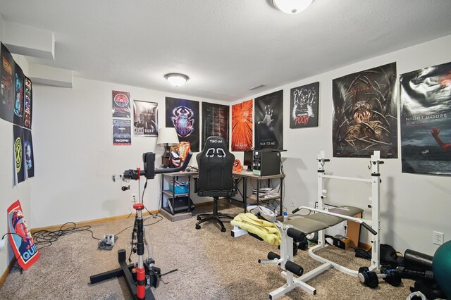 455 Sylvan St, Owatonna, MN 55060 - workout room featuring carpet and baseboards