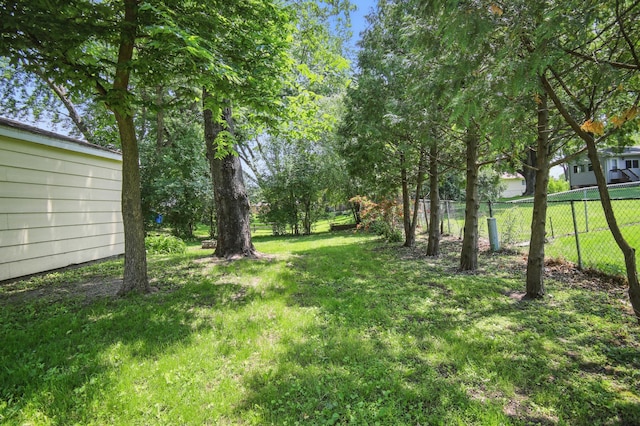 455 Sylvan St, Owatonna, MN 55060 - view of yard