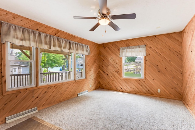 1115 3rd St NW, Faribault, MN 55021 - carpeted spare room with healthy amount of natural light, wooden walls, and ceiling fan
