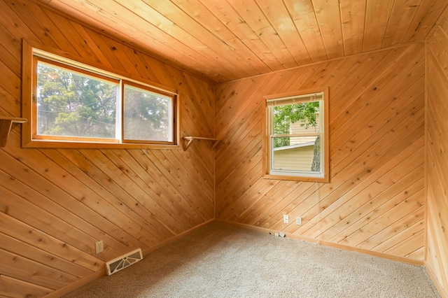 1115 3rd St NW, Faribault, MN 55021 - carpeted empty room with wooden ceiling and wood walls