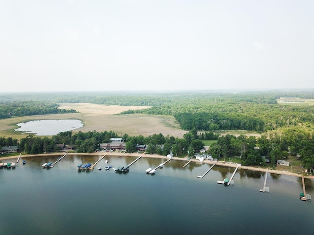 29042 County Road 4, Breezy Point, MN 56472 - bird's eye view of a nearby body of water