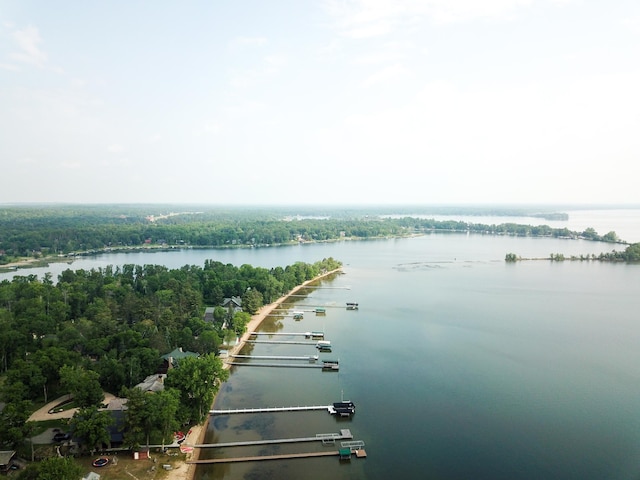 29042 County Road 4, Breezy Point, MN 56472 - bird's eye view of a nearby body of water