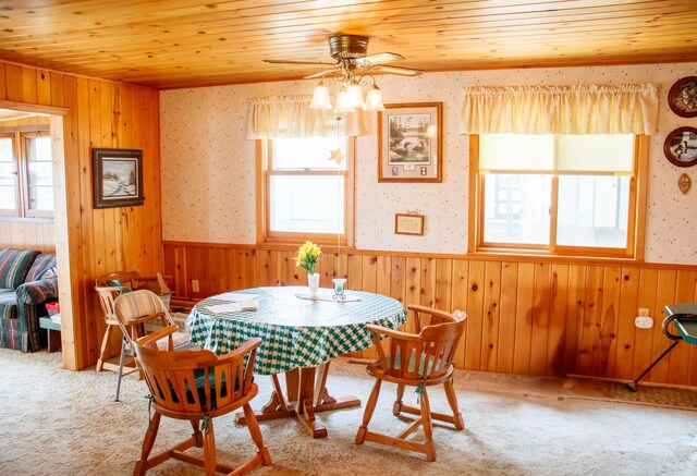 29042 County Road 4, Breezy Point, MN 56472 - dining room with wood ceiling, wainscoting, wooden walls, carpet flooring, and ceiling fan