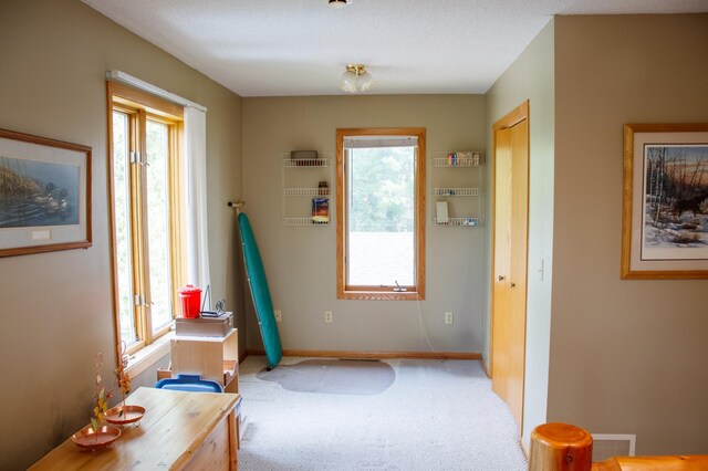 29042 County Road 4, Breezy Point, MN 56472 - entryway with carpet floors and baseboards