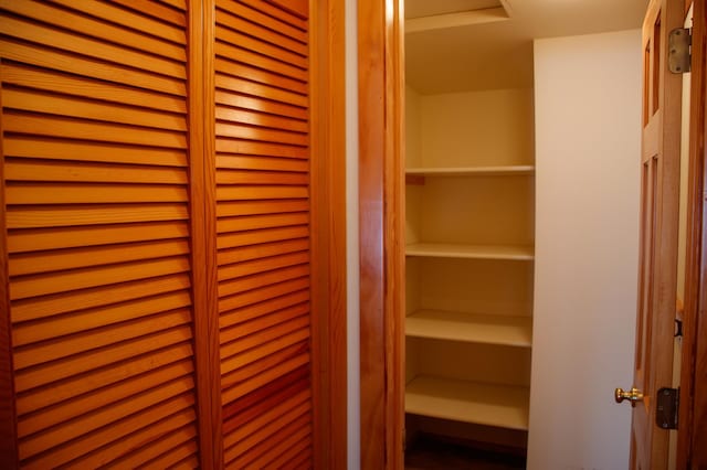 29042 County Road 4, Breezy Point, MN 56472 - view of closet