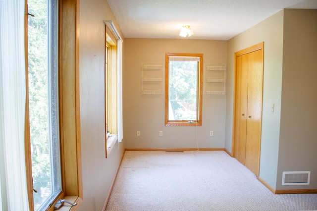29042 County Road 4, Breezy Point, MN 56472 - unfurnished bedroom featuring carpet floors and a closet