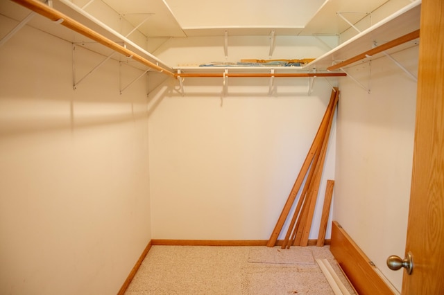 29042 County Road 4, Breezy Point, MN 56472 - view of spacious closet