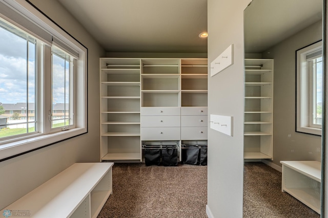 3405 4th St E, West Fargo, ND 58078 - spacious closet with dark carpet