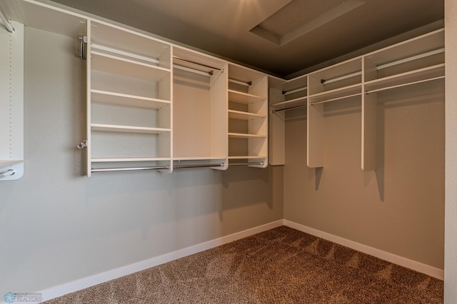 3405 4th St E, West Fargo, ND 58078 - walk in closet featuring dark colored carpet and attic access
