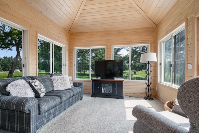 13907 Washington St NE, Ham Lake, MN 55304 - sunroom / solarium with lofted ceiling, plenty of natural light, wood walls, carpet, and wooden ceiling