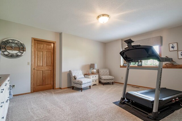 13907 Washington St NE, Ham Lake, MN 55304 - photo 27