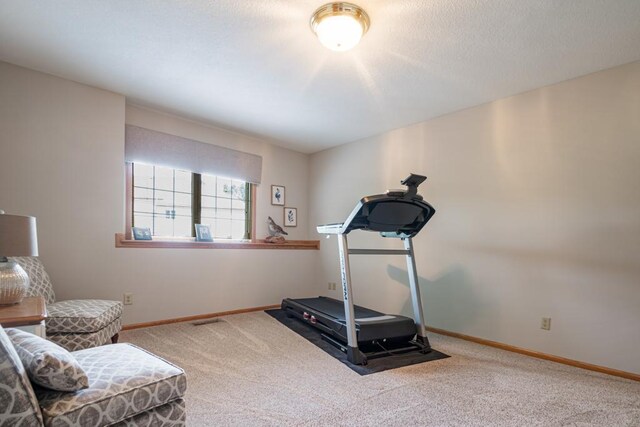 13907 Washington St NE, Ham Lake, MN 55304 - photo 28