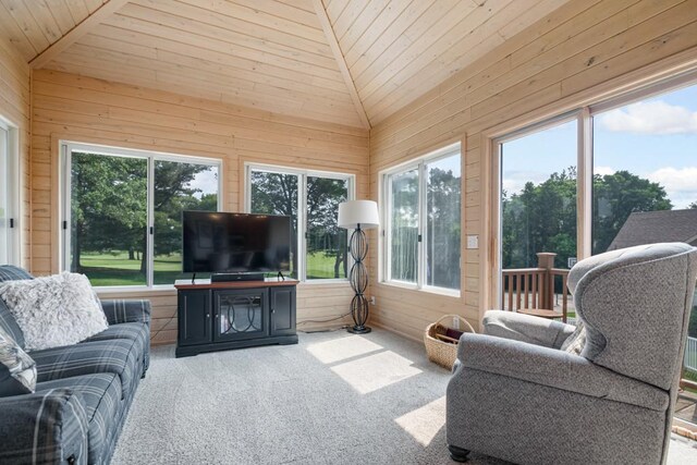 13907 Washington St NE, Ham Lake, MN 55304 - photo 72