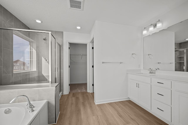 11532 Polaris Ln N, Dayton, MN 55369 - bathroom with a stall shower, vanity, a garden tub, wood finished floors, and a spacious closet