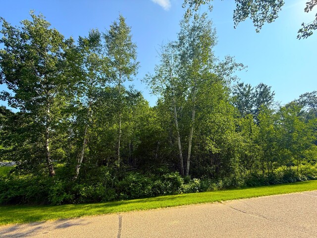 000 Maplewood Dr, East Gull Lake, MN 56401 - photo 3