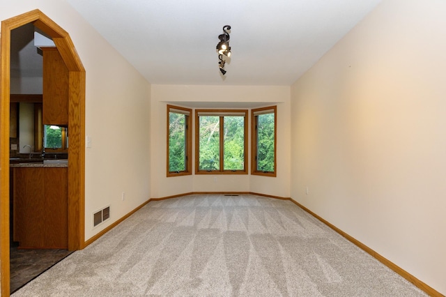 14500 Raleigh Ave, Savage, MN 55378 - empty room with light colored carpet and rail lighting