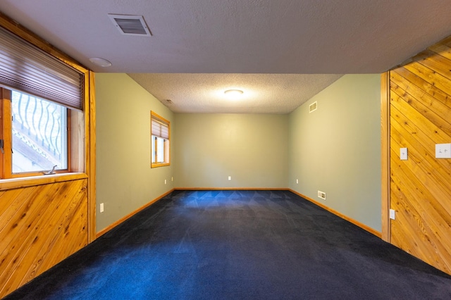 14500 Raleigh Ave, Savage, MN 55378 - unfurnished room featuring carpet floors, wood walls, and a textured ceiling