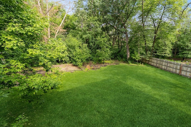 14500 Raleigh Ave, Savage, MN 55378 - view of yard