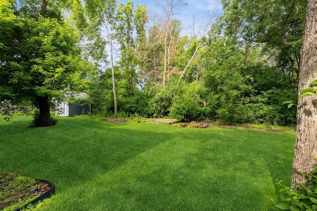 14500 Raleigh Ave, Savage, MN 55378 - view of green lawn