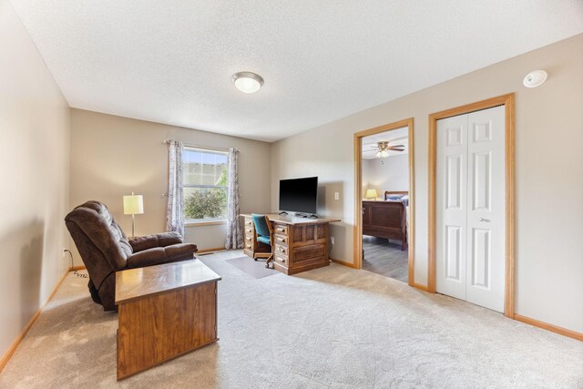 6595 Linwood Dr NE, Albertville, MN 55301 - photo 14