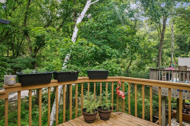 28 Garden Dr, Burnsville, MN 55337 - photo 20