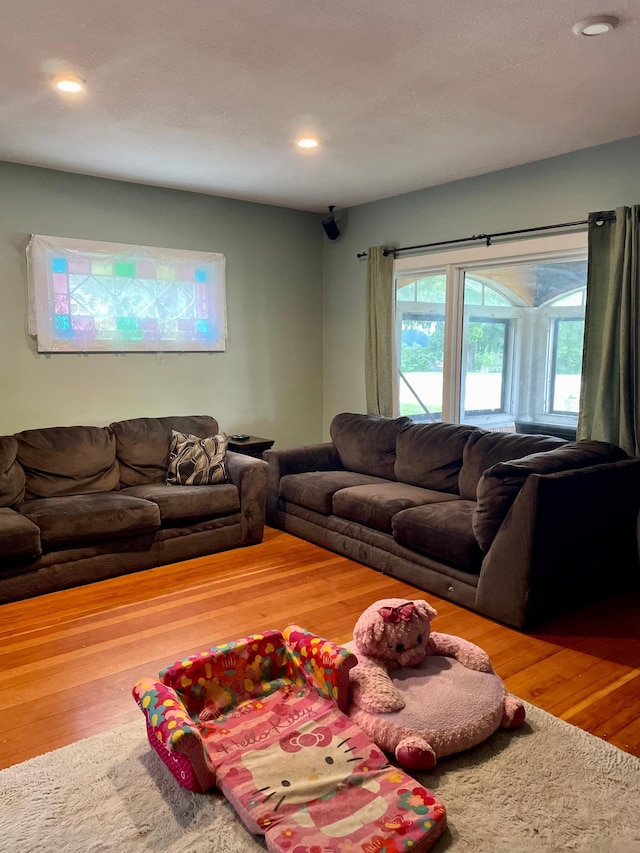 60 Main St, Kimball, MN 55353 - living room with wood finished floors and recessed lighting