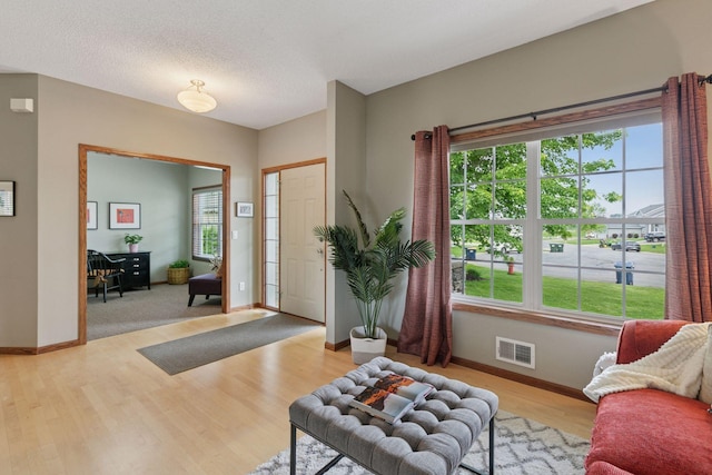 14896 Brenner Ct, Rosemount, MN 55068 - foyer entrance featuring light wood-style floors and baseboards