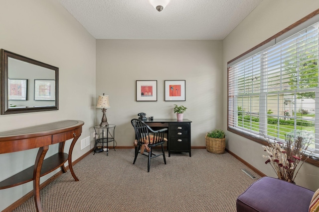 14896 Brenner Ct, Rosemount, MN 55068 - carpeted office featuring plenty of natural light and a textured ceiling