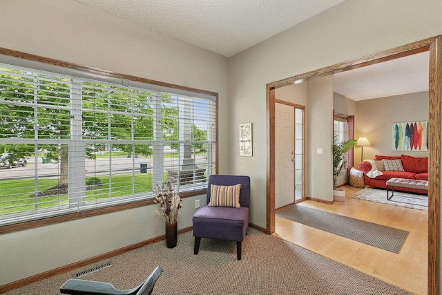 14896 Brenner Ct, Rosemount, MN 55068 - sitting room with carpet floors and wood finished floors