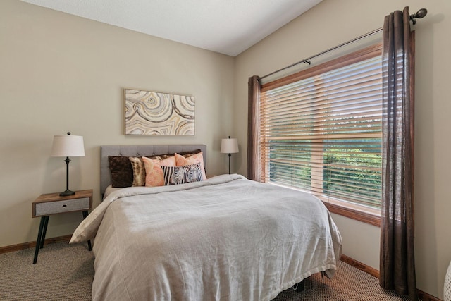 14896 Brenner Ct, Rosemount, MN 55068 - carpeted bedroom featuring baseboards