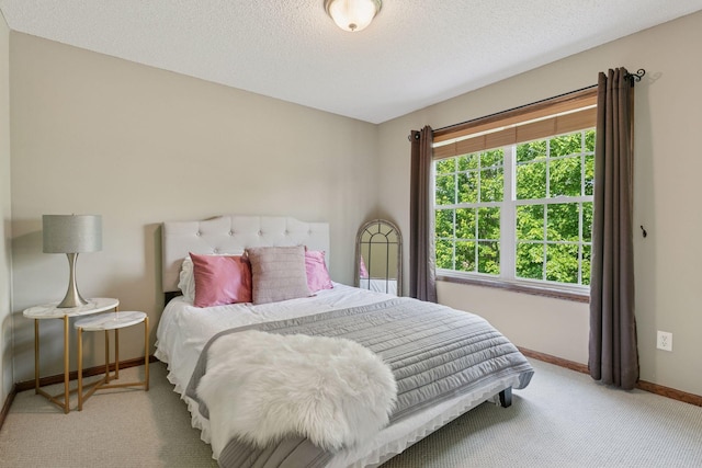 14896 Brenner Ct, Rosemount, MN 55068 - bedroom featuring carpet flooring and a textured ceiling