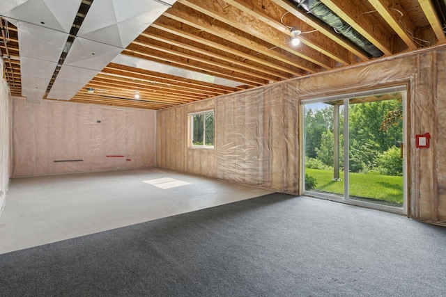 14896 Brenner Ct, Rosemount, MN 55068 - view of below grade area