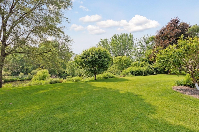 14896 Brenner Ct, Rosemount, MN 55068 - view of green lawn
