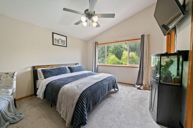 1205 Orchard St, Belle Plaine, MN 56011 - photo 9