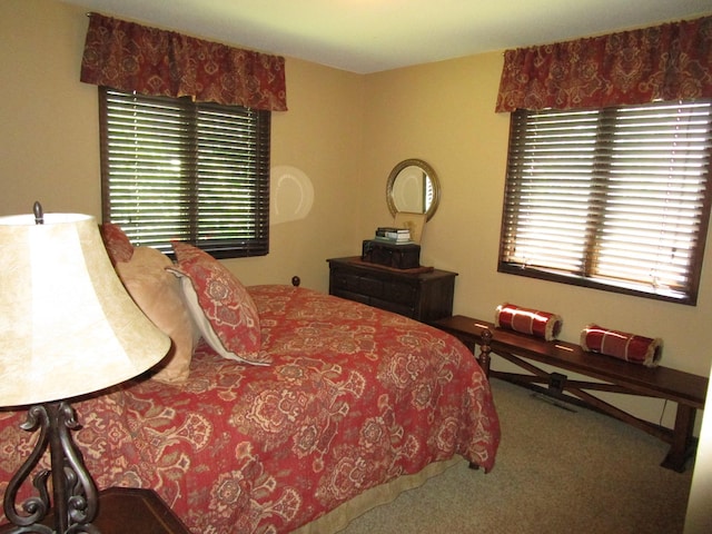 4523 Waville Rd NE, Bemidji, MN 56601 - carpeted bedroom with multiple windows