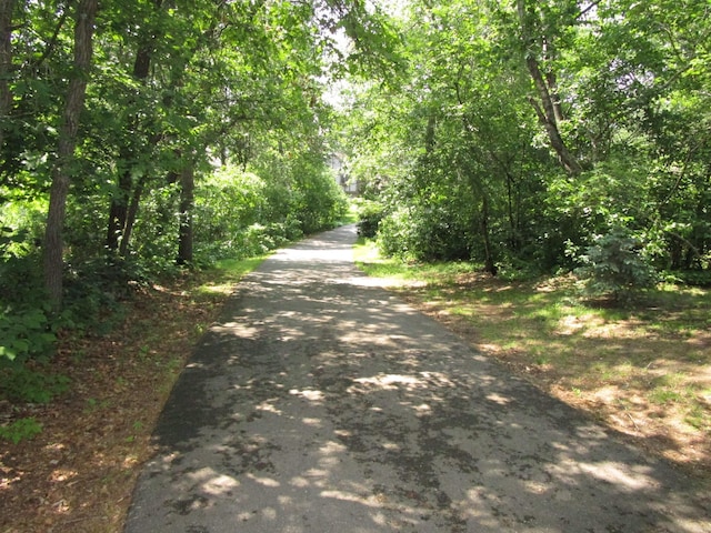 4523 Waville Rd NE, Bemidji, MN 56601 - view of road featuring a wooded view