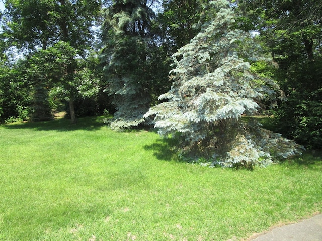 4523 Waville Rd NE, Bemidji, MN 56601 - view of green lawn