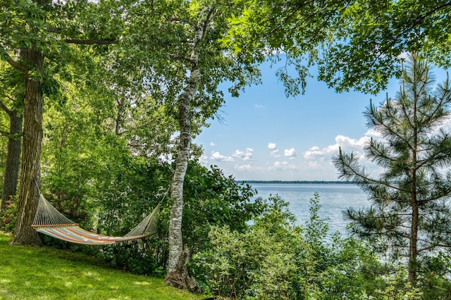 4523 Waville Rd NE, Bemidji, MN 56601 - photo 4