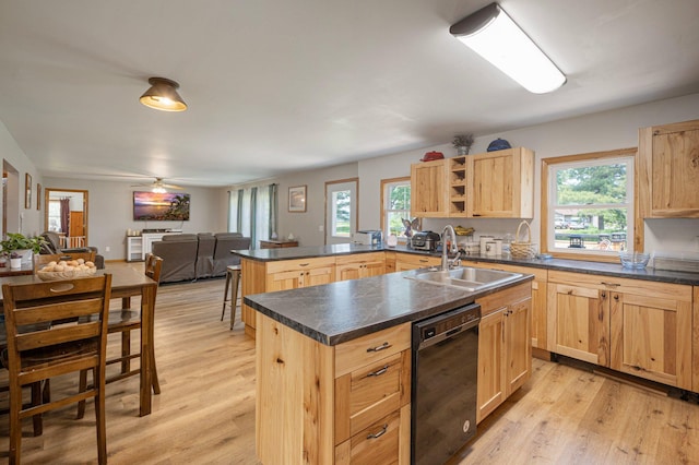 8241 120th St, Bogus Brook Twp, MN 56353 - kitchen with dishwasher, light brown cabinets, dark countertops, and plenty of natural light