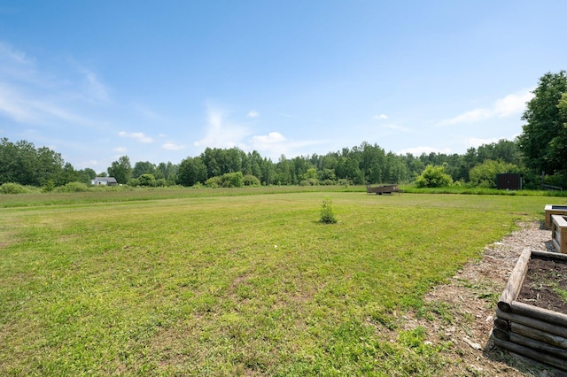 8241 120th St, Bogus Brook Twp, MN 56353 - view of grassy yard with a rural view