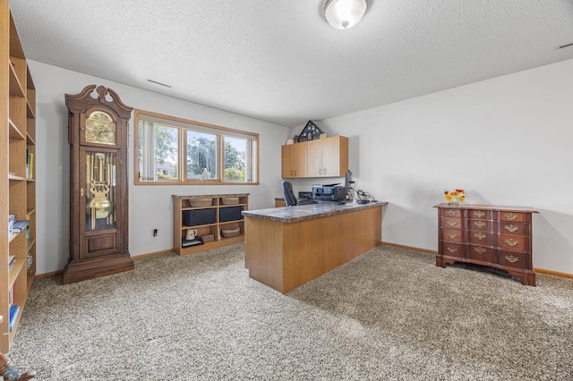 2819 33rd St S, Fargo, ND 58103 - carpeted home office with a textured ceiling and baseboards