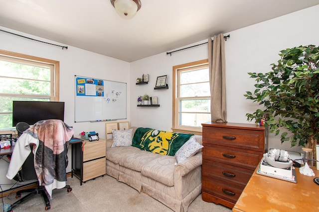 419 18th St S, Moorhead, MN 56560 - home office with light colored carpet