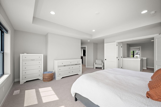 4805 Comstock Ln N, Plymouth, MN 55446 - bedroom with recessed lighting, carpet floors, and a tray ceiling