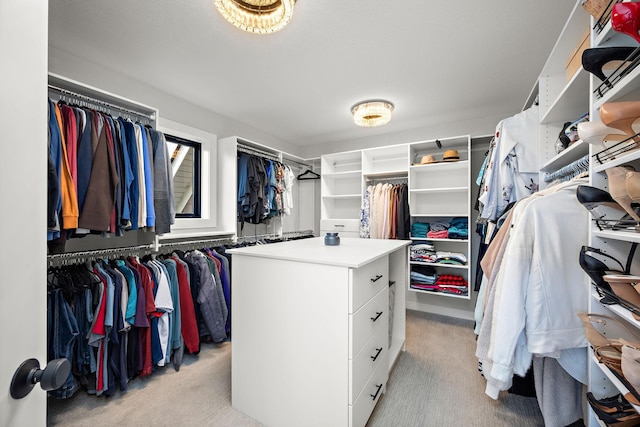 4805 Comstock Ln N, Plymouth, MN 55446 - walk in closet featuring light carpet