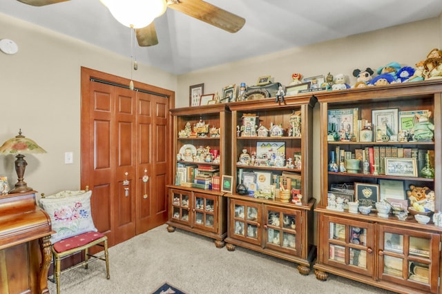 53245 Sunrise Ln, Park Rapids, MN 56470 - miscellaneous room with carpet floors and a ceiling fan