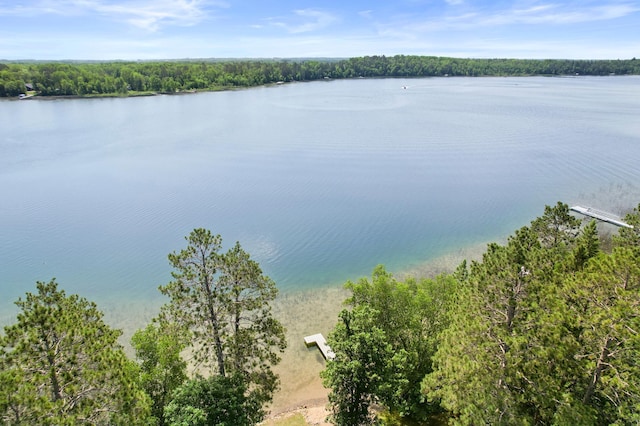 53245 Sunrise Ln, Park Rapids, MN 56470 - water view