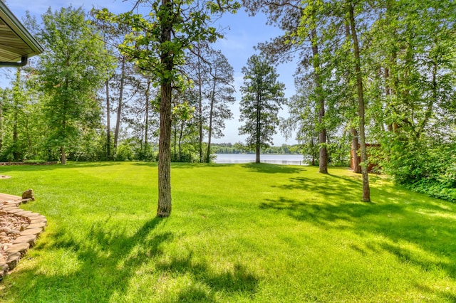 53245 Sunrise Ln, Park Rapids, MN 56470 - view of green lawn featuring a water view