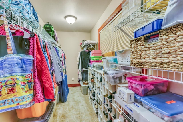 53245 Sunrise Ln, Park Rapids, MN 56470 - spacious closet featuring carpet floors