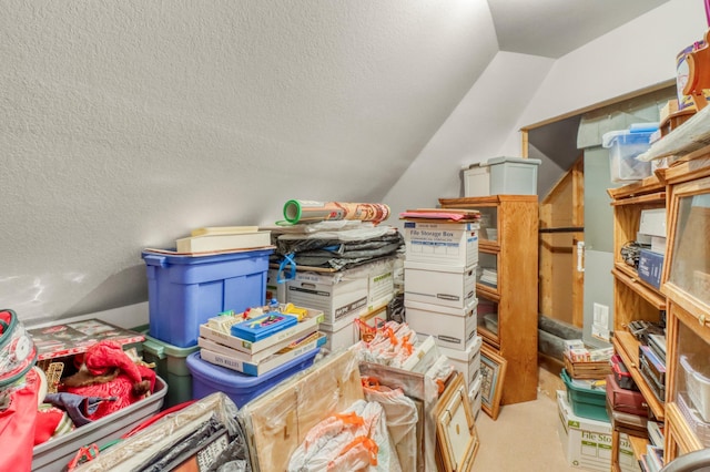 53245 Sunrise Ln, Park Rapids, MN 56470 - view of storage area