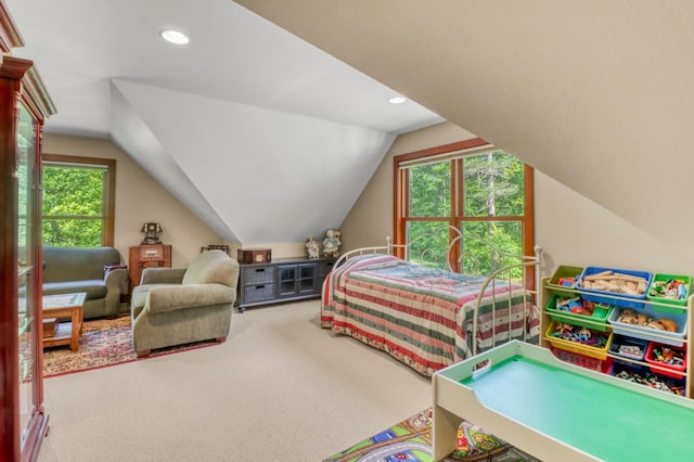 53245 Sunrise Ln, Park Rapids, MN 56470 - carpeted bedroom featuring vaulted ceiling, multiple windows, and recessed lighting